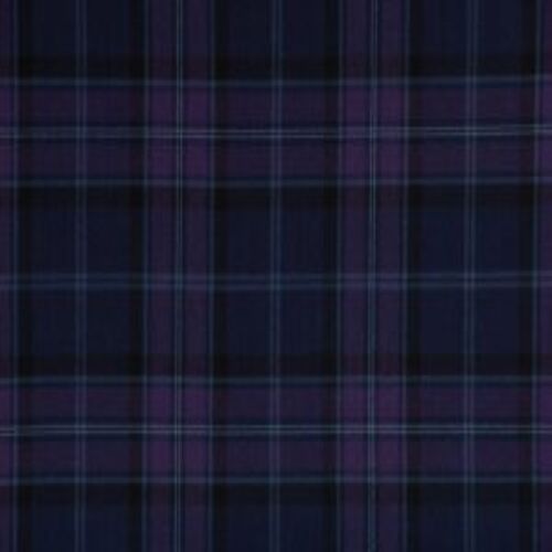 Scottish Thistle